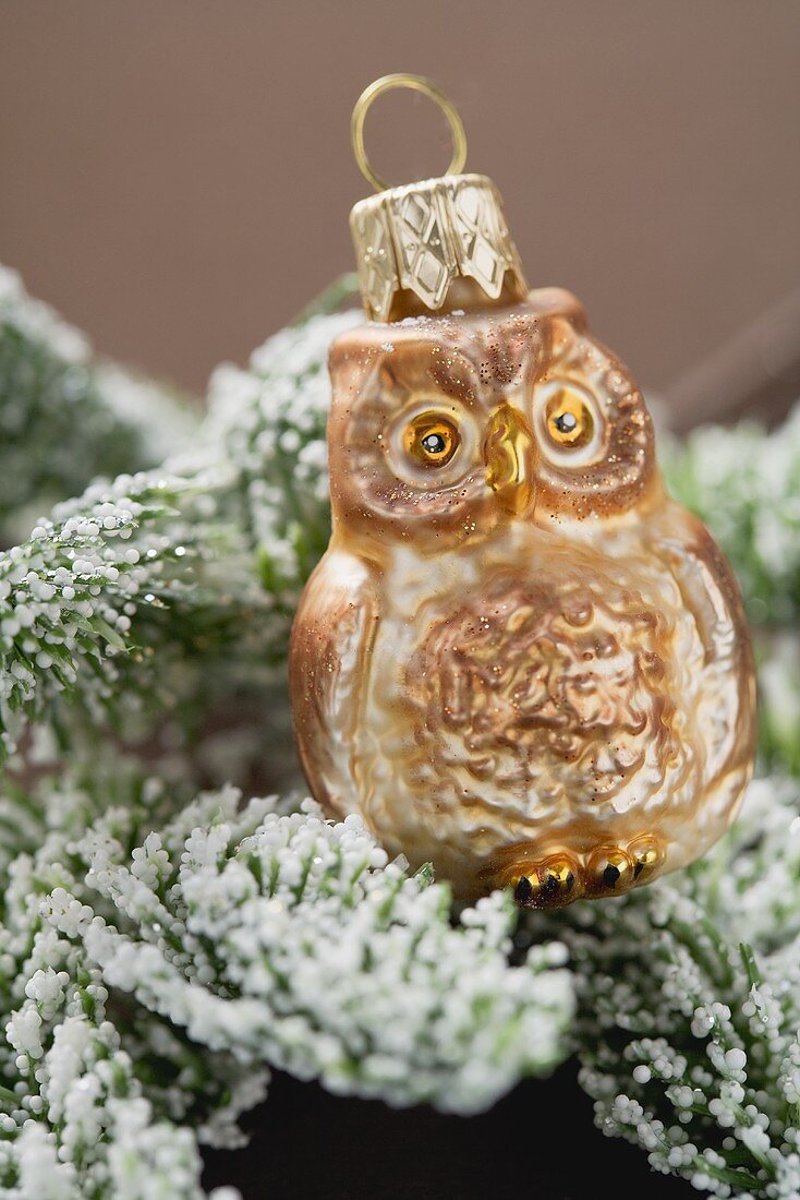 Christmas tree ornament: owl on snow-covered fir branch
