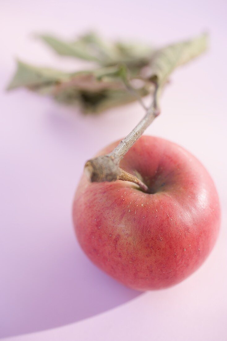 Roter Apfel mit Stiel und Blättern (Draufsicht)