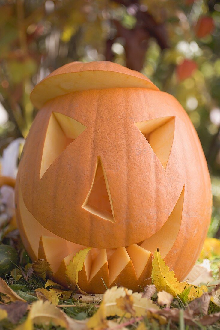 Carved pumpkin face in garden