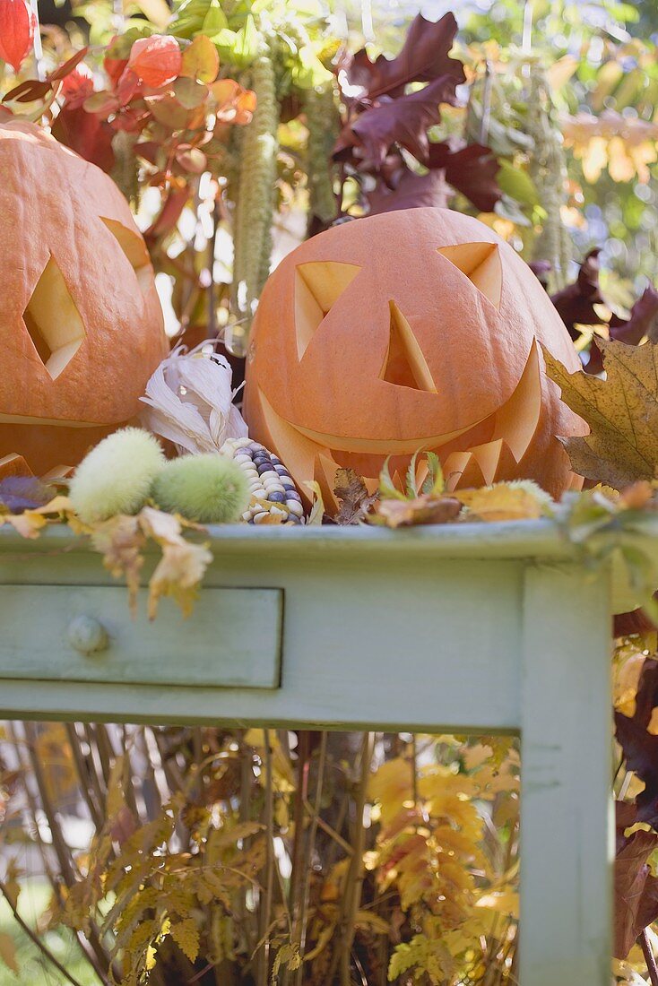 Autumnal garden decoration with pumpkins