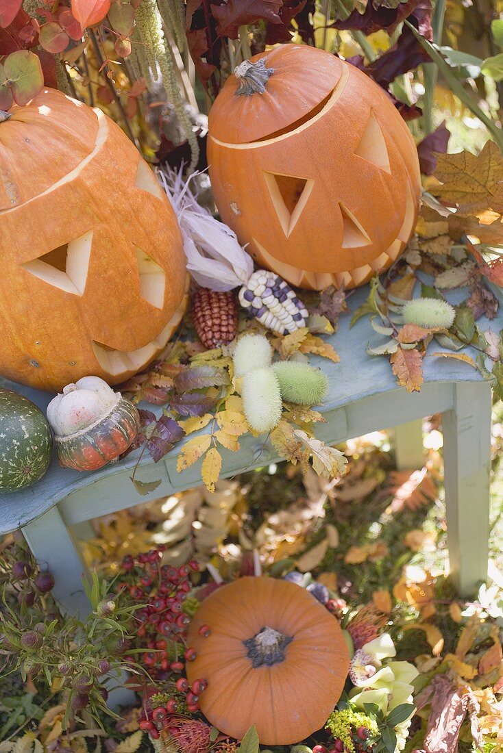 Herbstliche Gartendeko mit Kürbissen