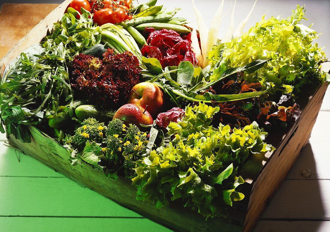 A Case with Lettuce; Vegetables & Fruits
