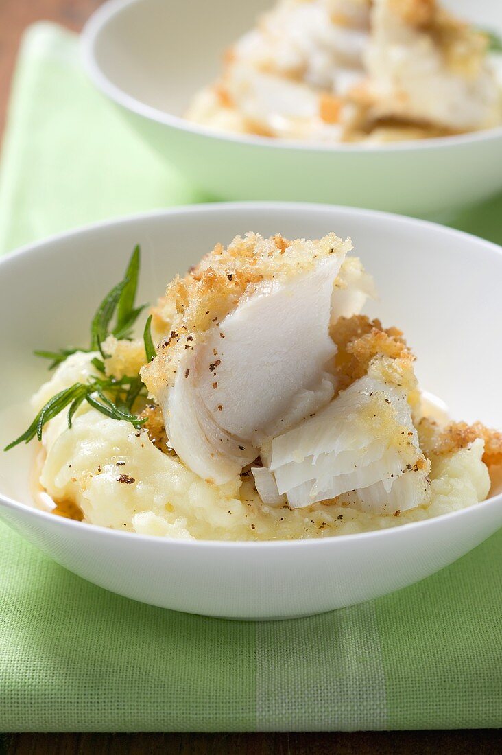 Haddock with potato crust on mashed potato