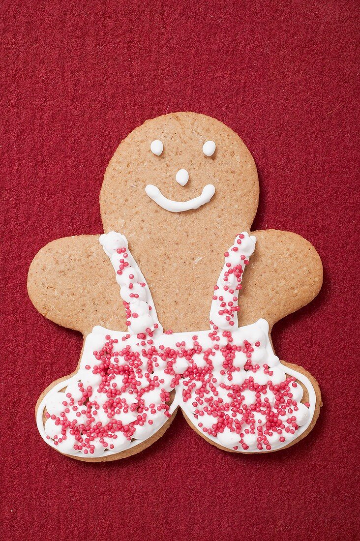 Gingerbread man decorated with icing