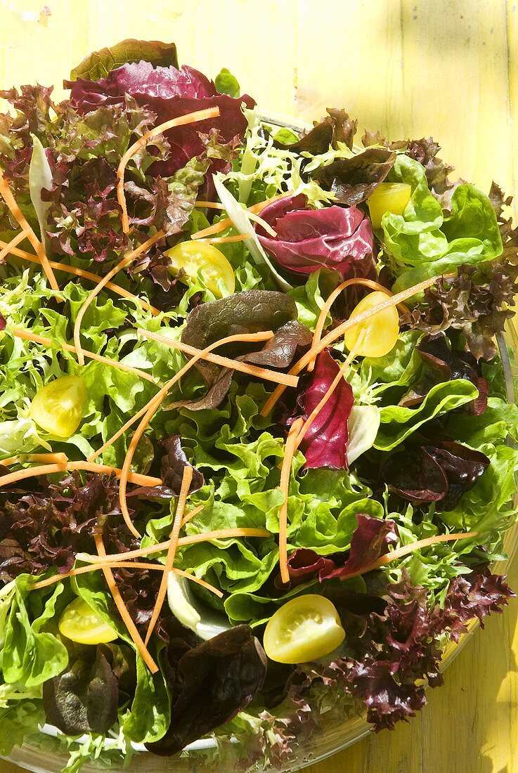 Gemischter Blattsalat mit Möhrenstreifen und Kirschtomaten