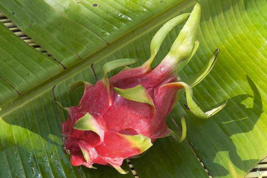 Pitahaya on palm leaf