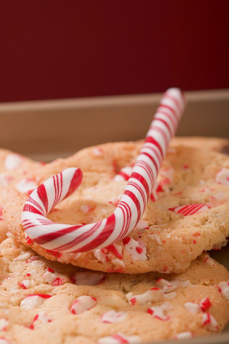 Zuckerstange und Weihnachtsplätzchen