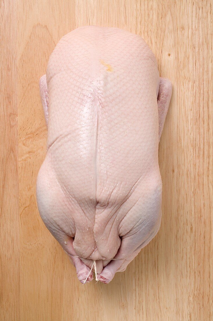 Stuffed, raw turkey (overhead view)