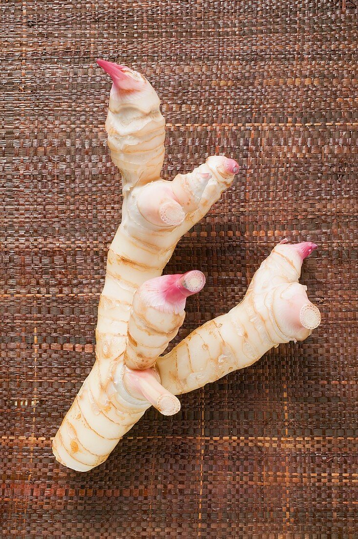 Fresh galangal on brown fabric background