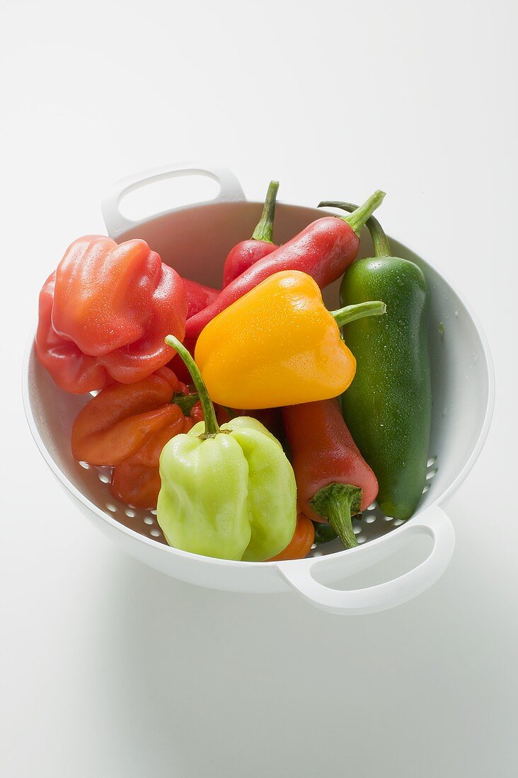 Assorted chillies in colander