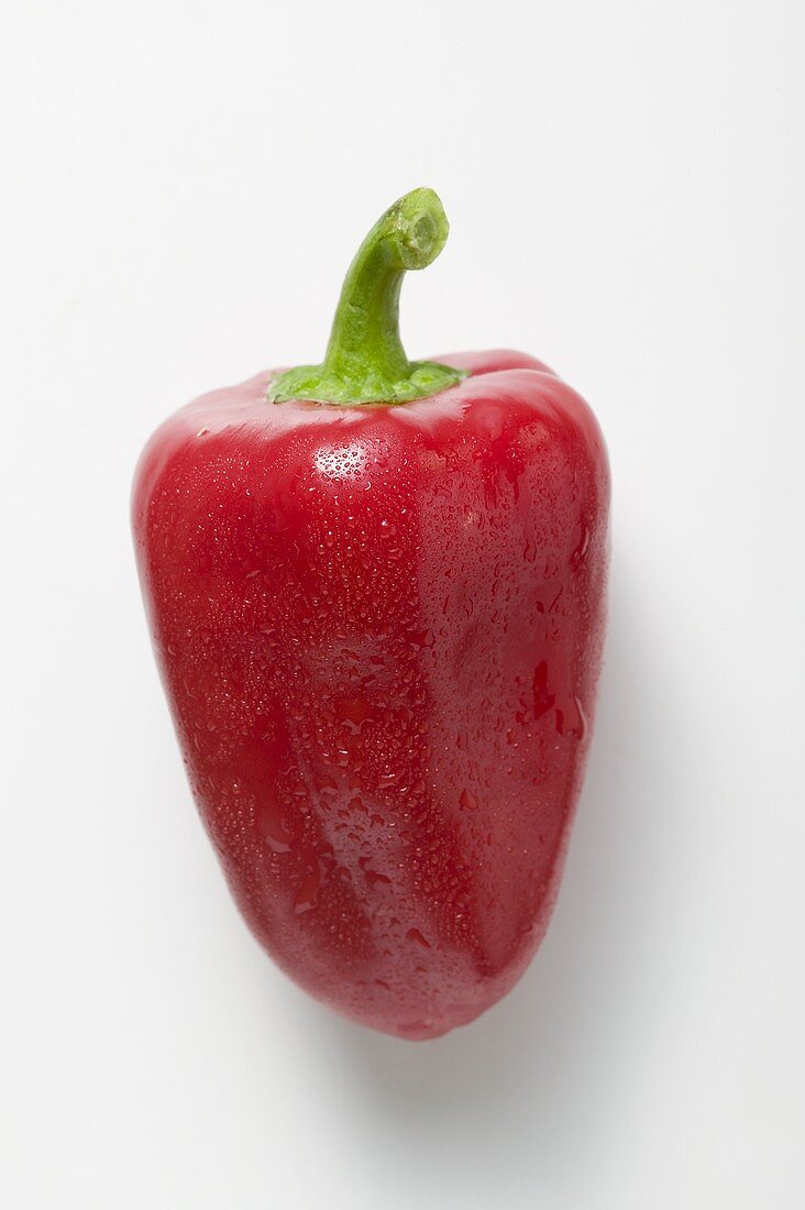 Red pepper with drops of water