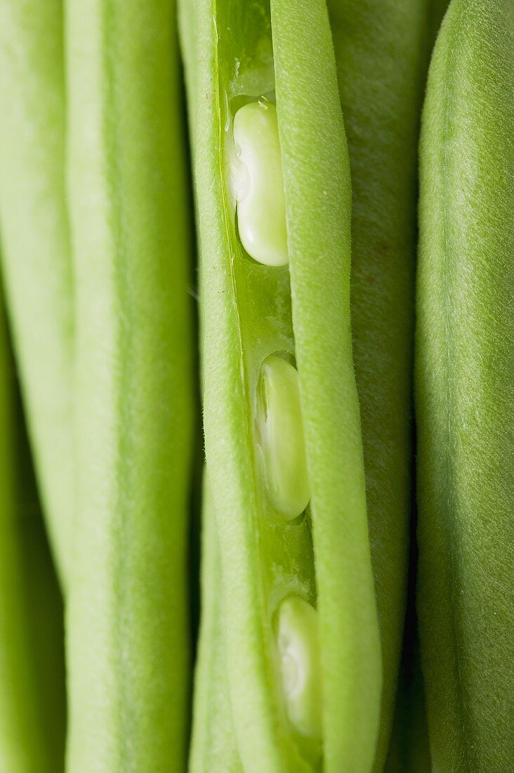 Mehrere grüne Bohnen (Close Up)