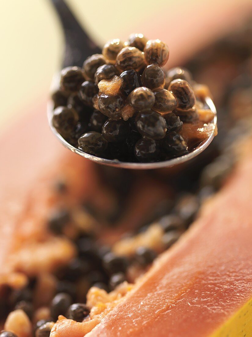 Papaya seeds on spoon (close-up)