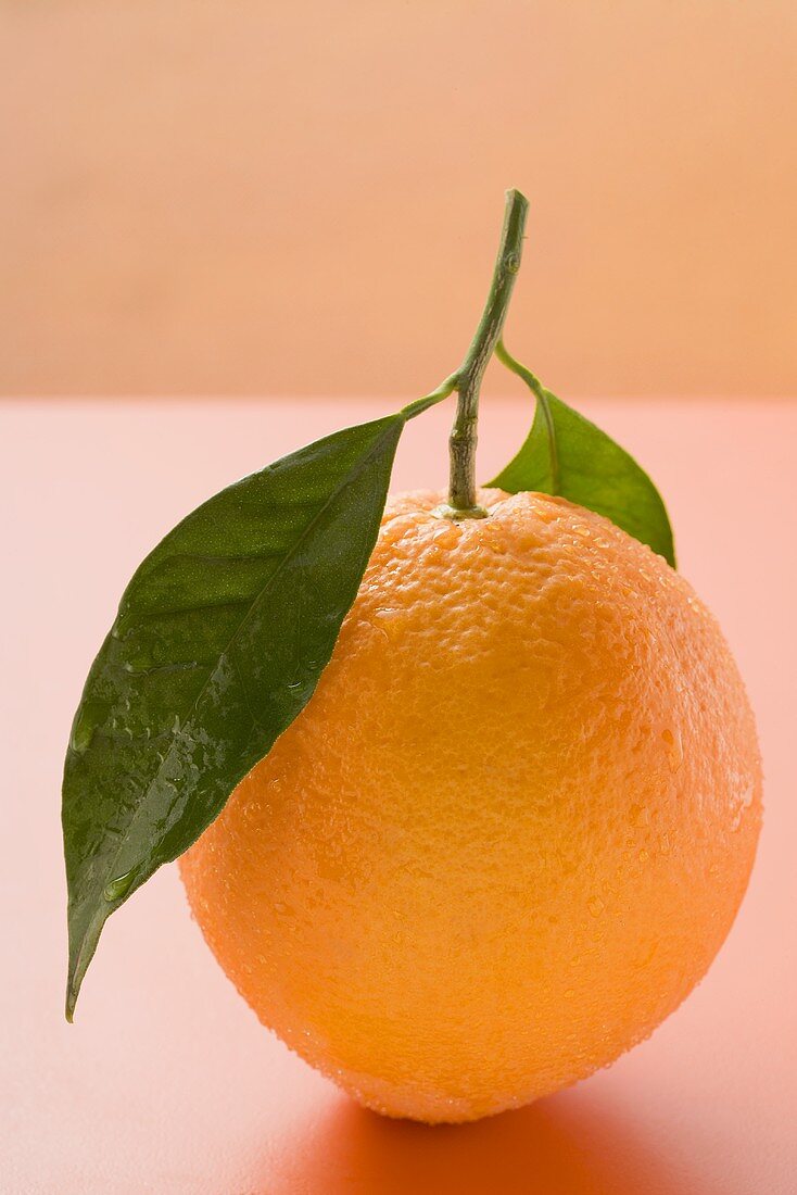 Orange mit Stiel und Blatt
