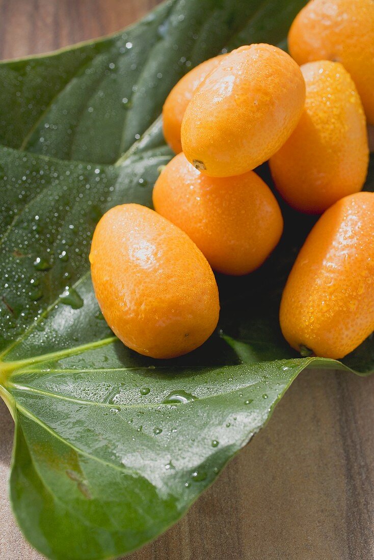 Kumquats with drops of water on leaves