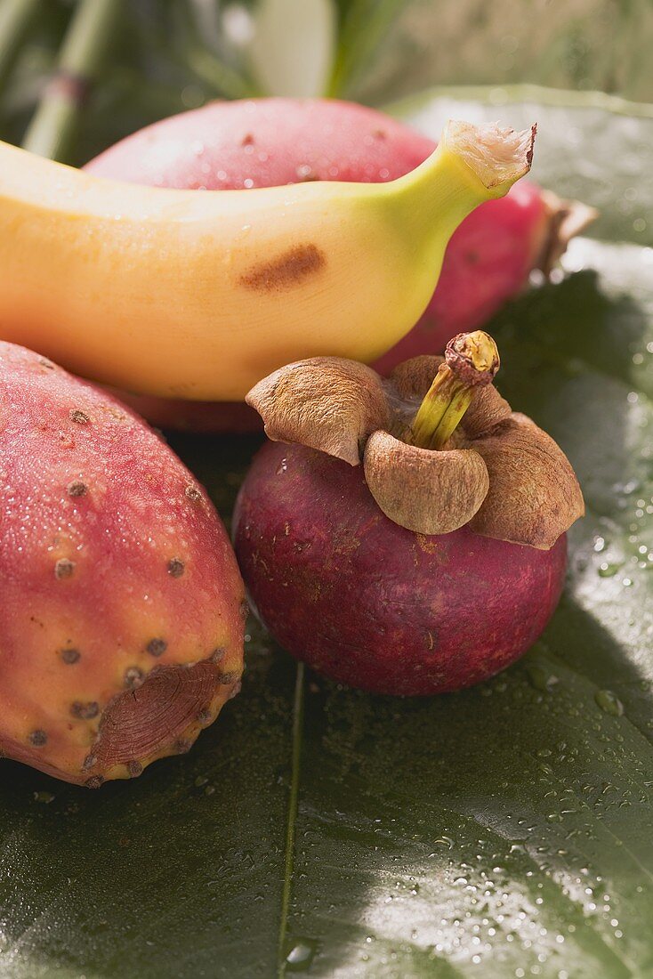 Mangosteen, prickly pears and banana on leaf