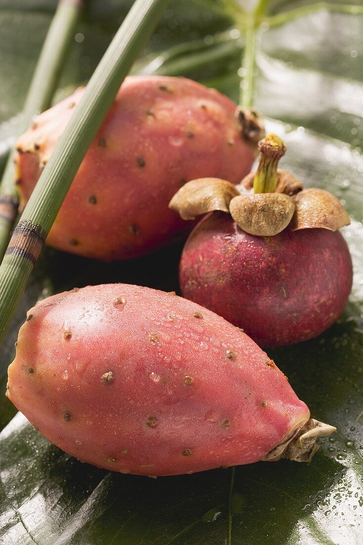 Mangosteen and prickly pears on leaf