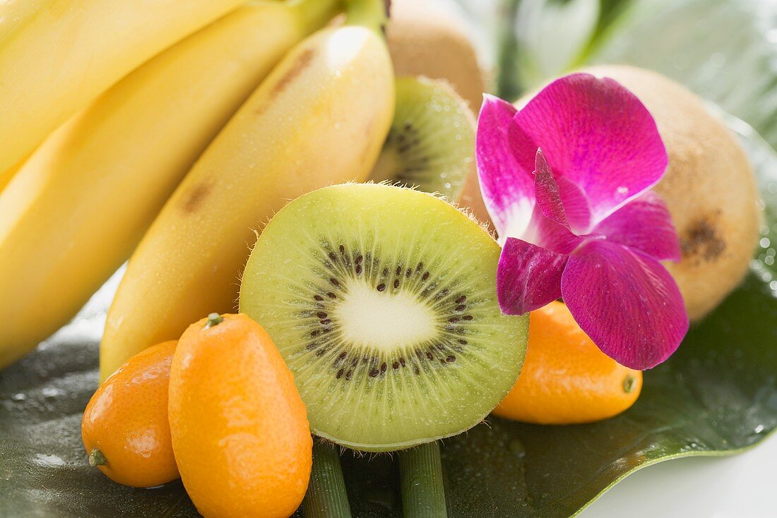 Bananen, Kiwis, Kumquats und Orchidee