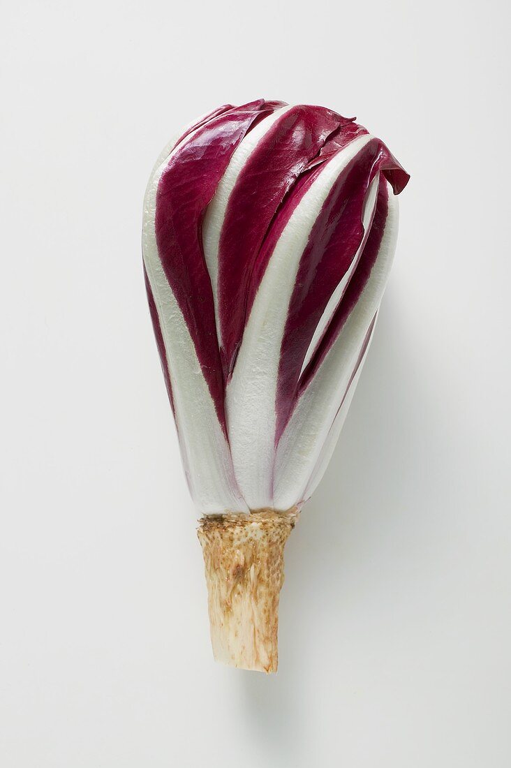 A head of radicchio