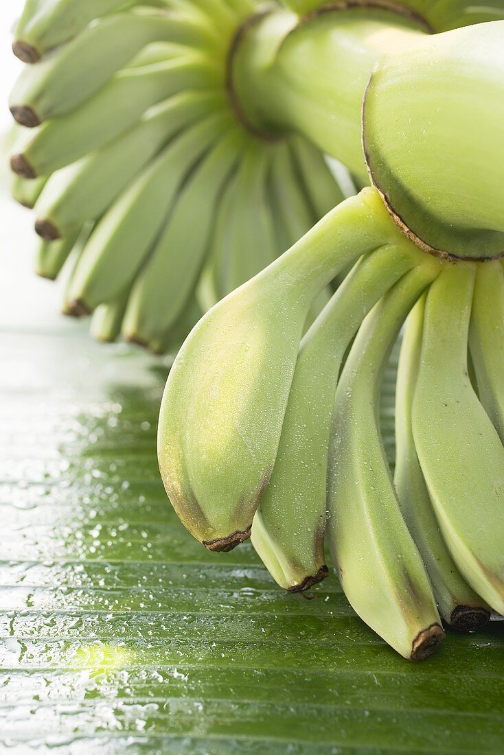 Bunch of bananas with drops of water