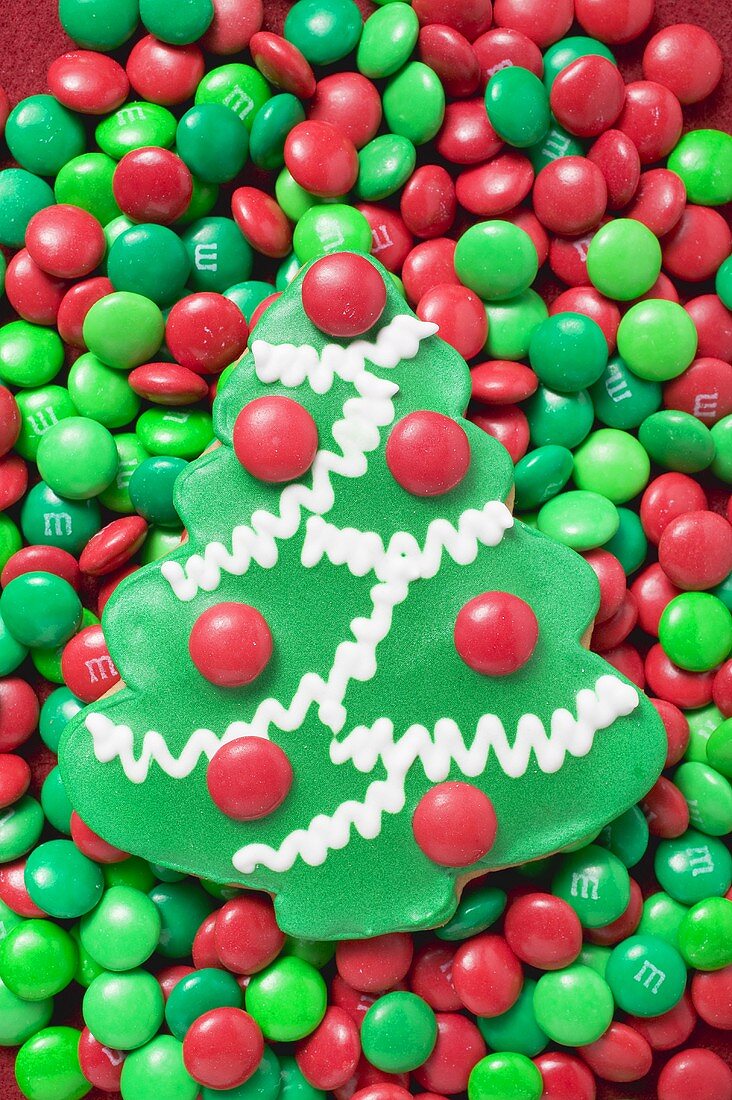 Christmas tree biscuit on red and green chocolate beans