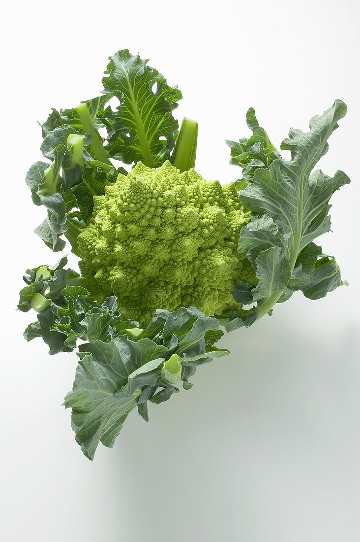 Romanesco mit Blättern