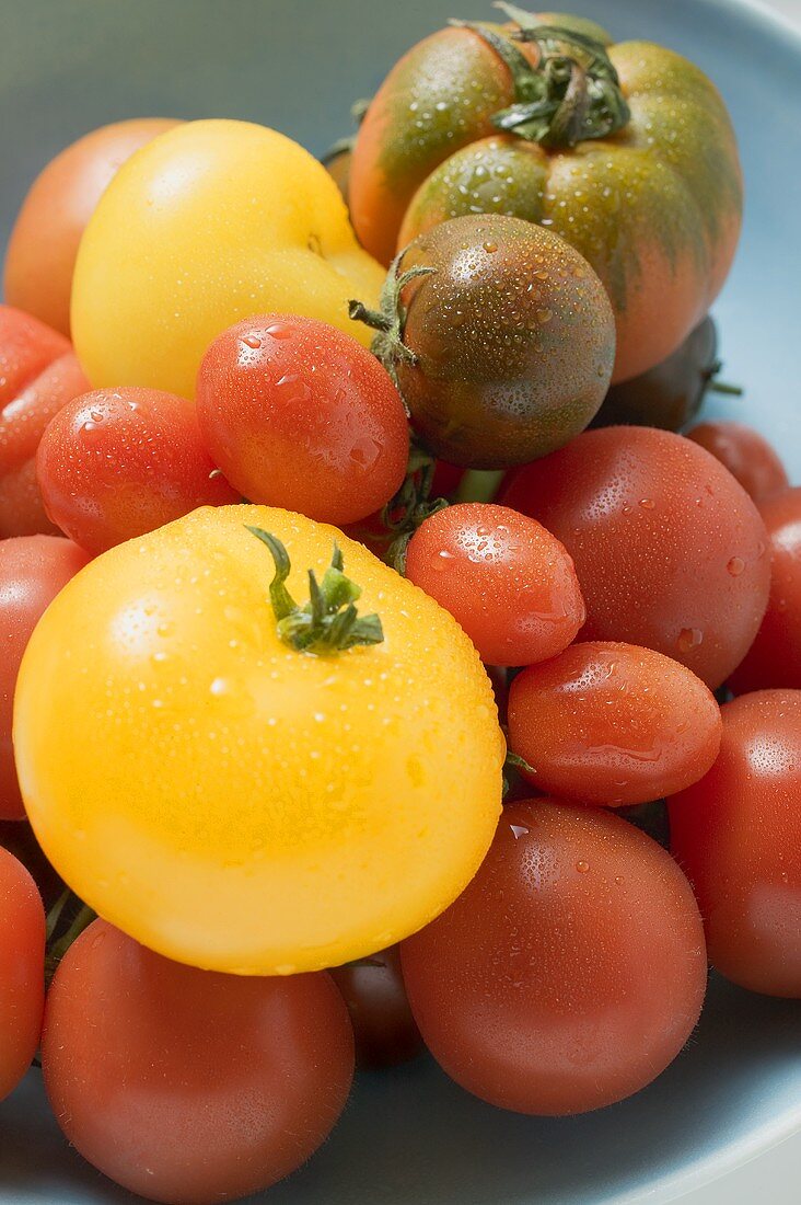 Various types of tomatoes with drops of water