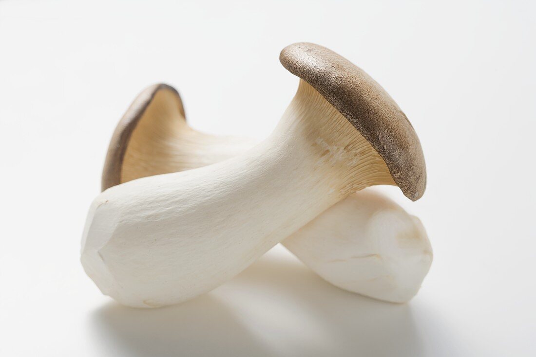 Two king oyster mushrooms