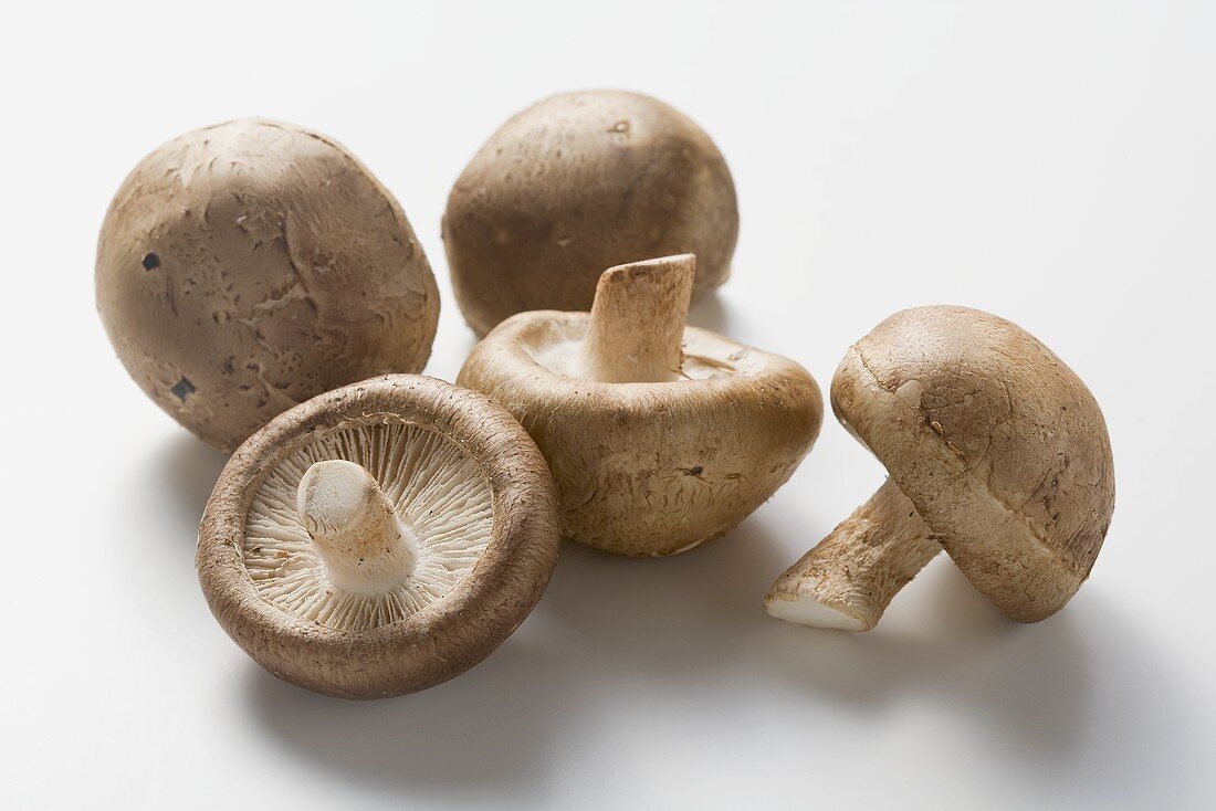 Five shiitake mushrooms