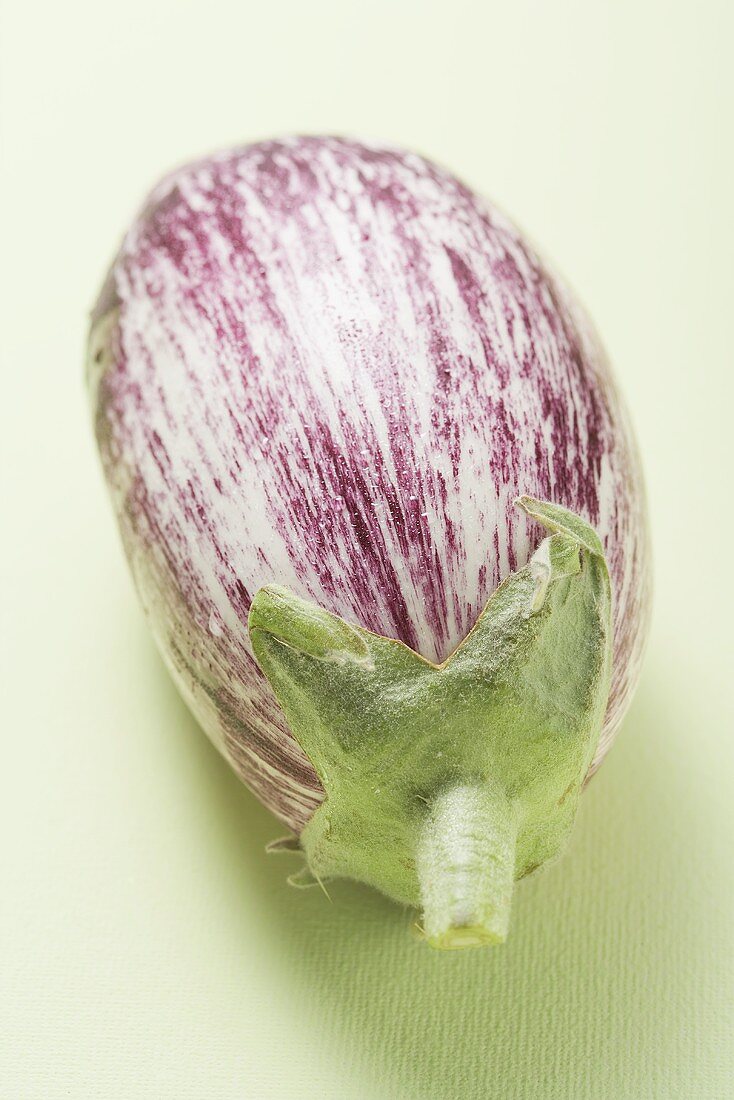 Violett-weiss gestreifte Aubergine