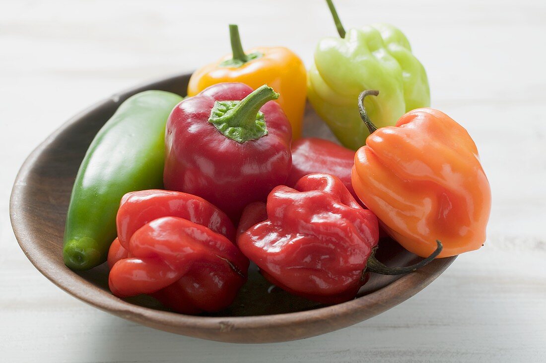 Bunte Paprika- und Chilischoten in Holzschale