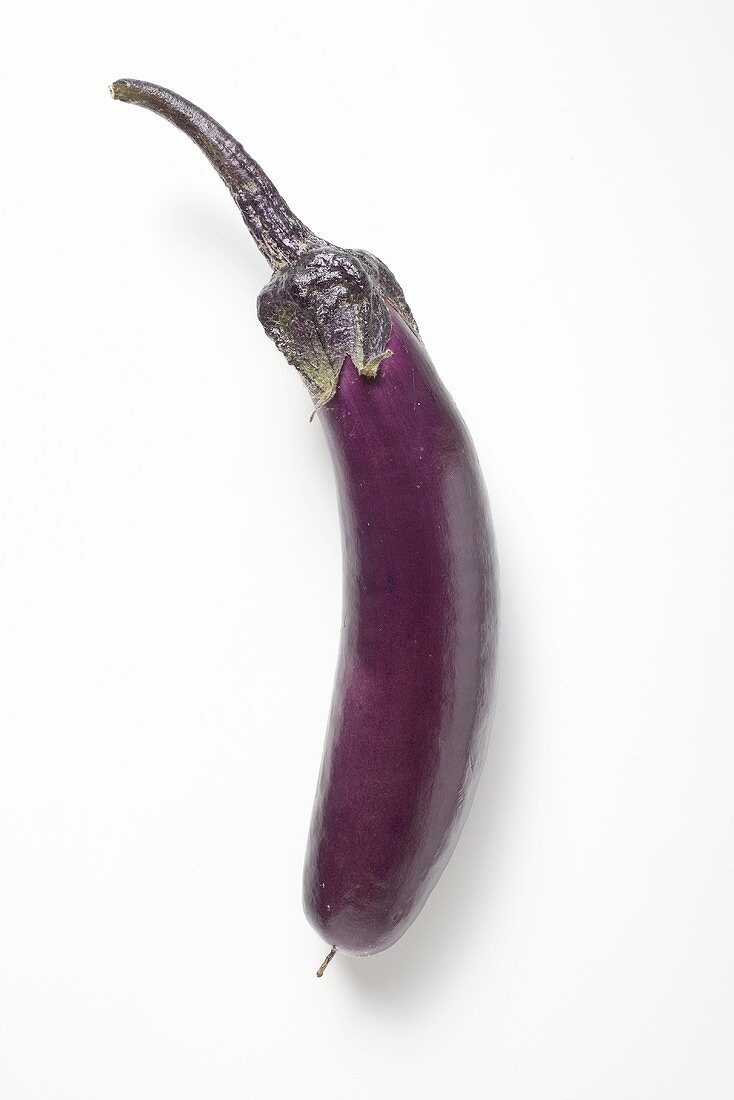 Längliche violette Aubergine