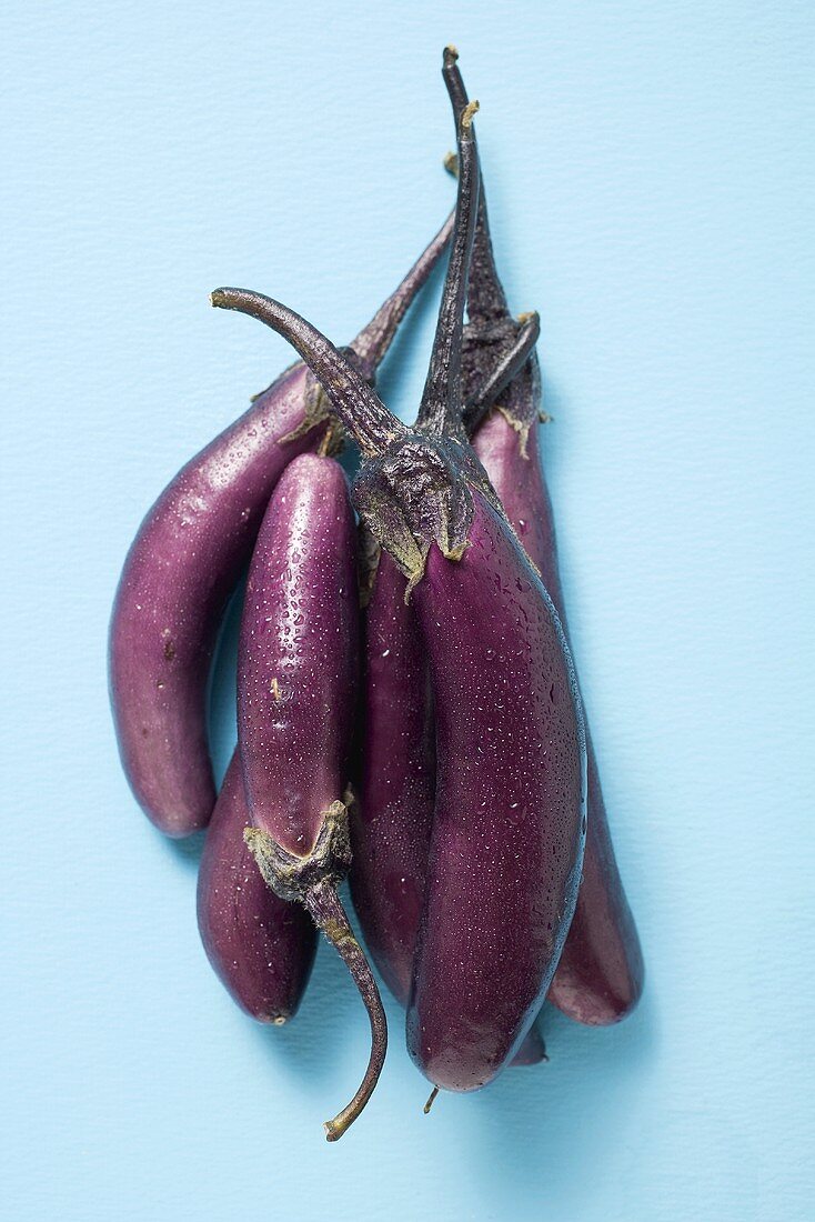 Mehrere violette Auberginen mit Wassertropfen (Draufsicht)