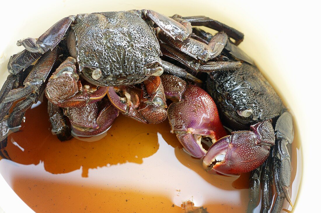 Pickled crabs in fish sauce (Thailand)