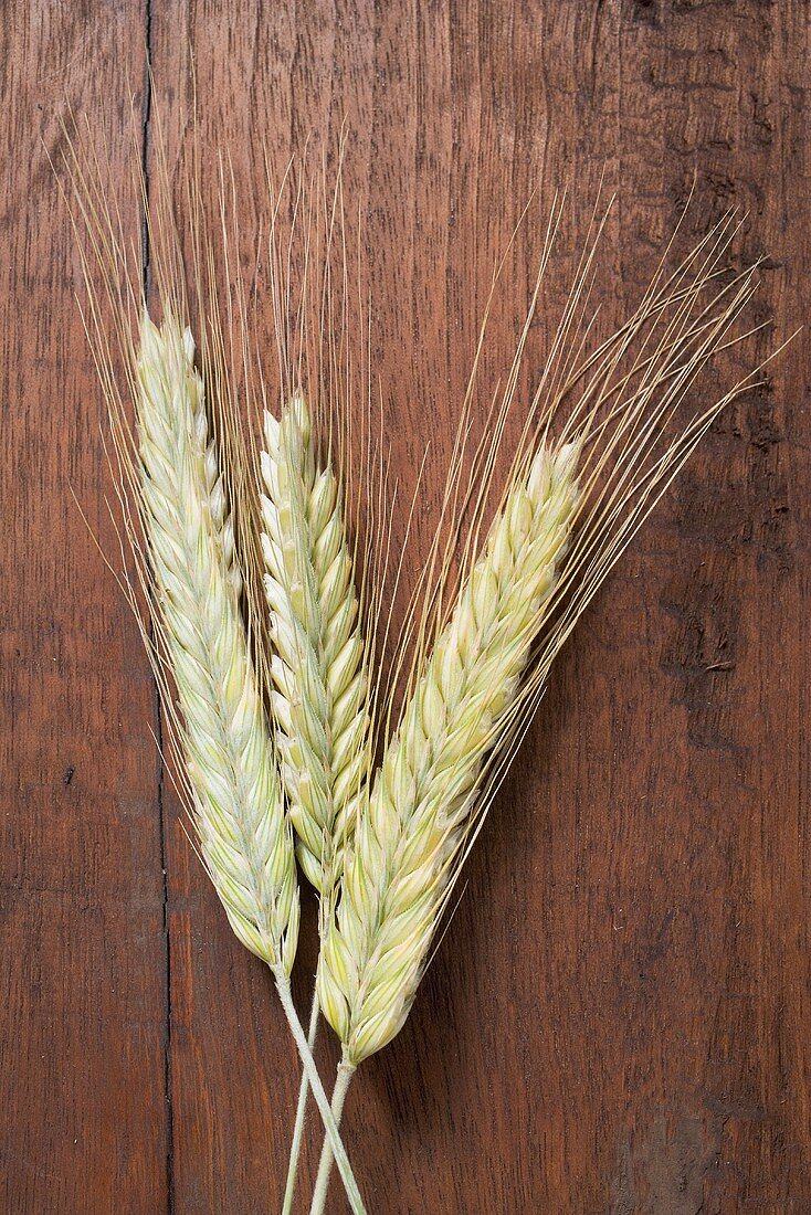Three cereal ears (rye and barley) on wooden background