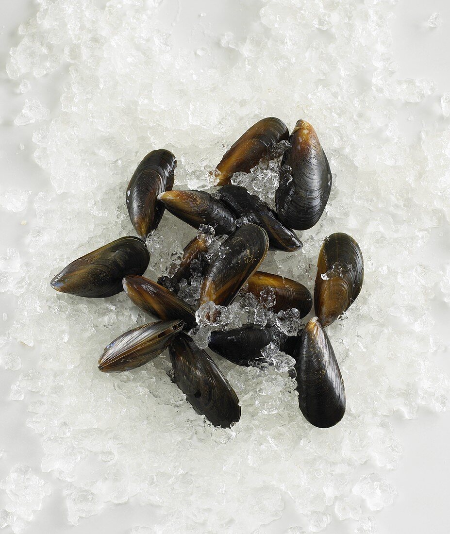 Mussels on crushed ice
