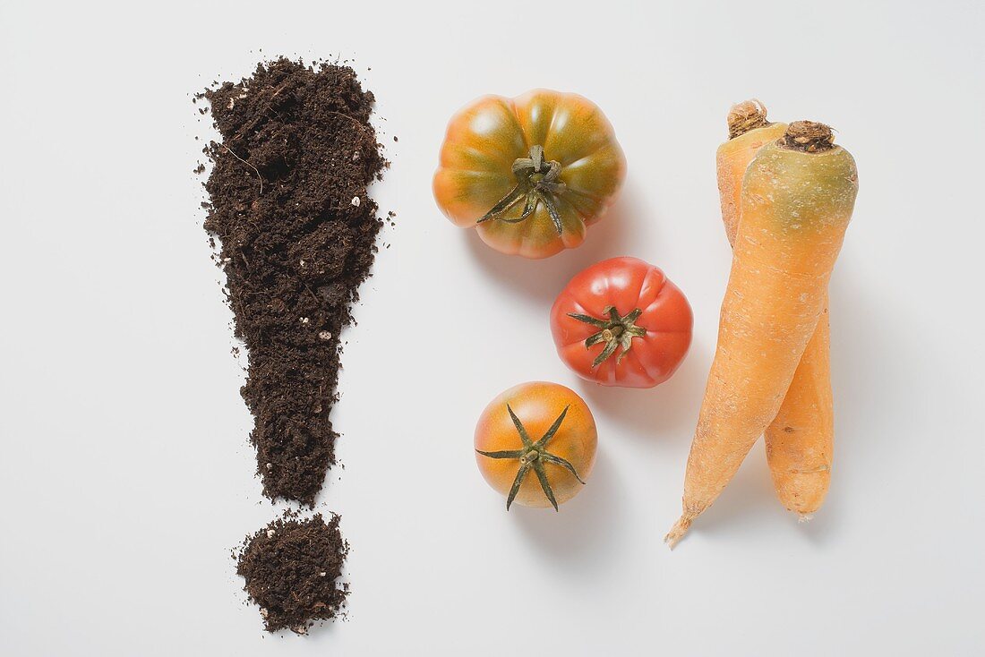 Soil forming an exclamation mark, three tomatoes & two carrots