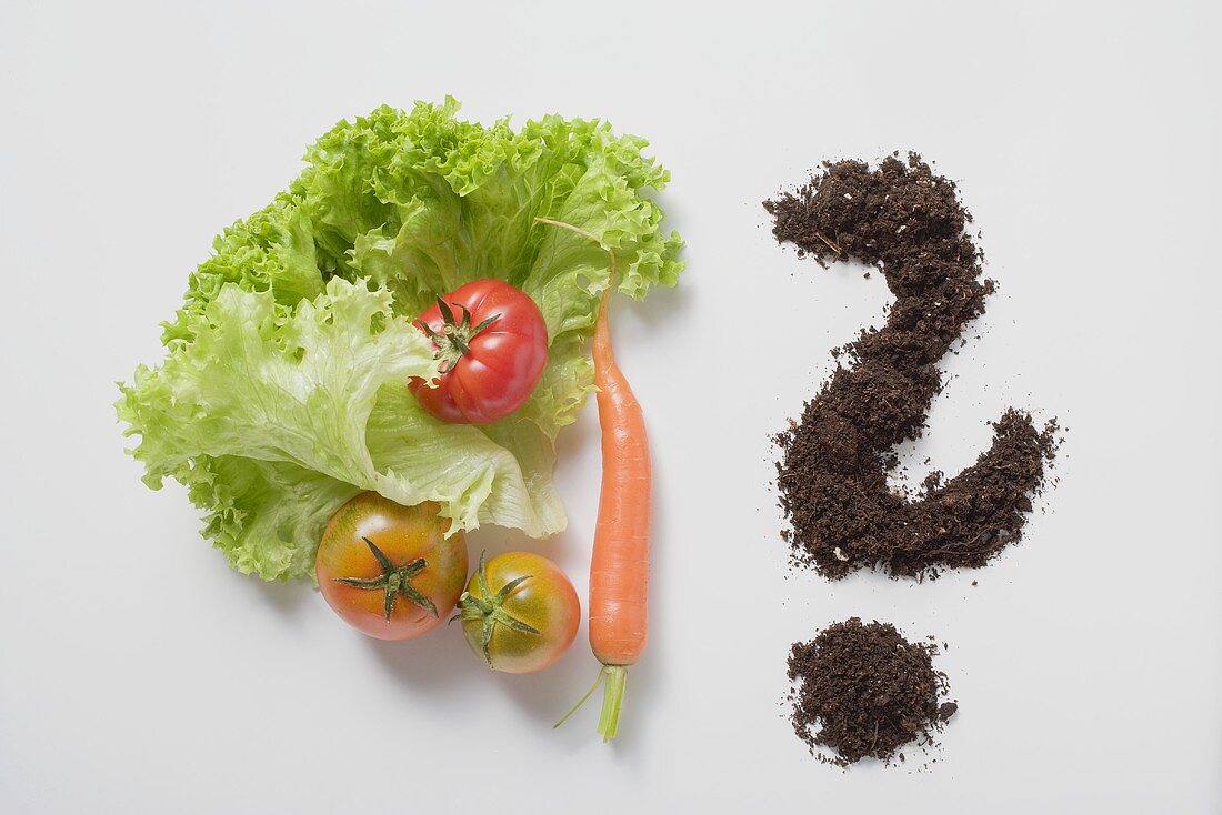 Lettuce leaves, tomatoes, carrot & soil forming question mark