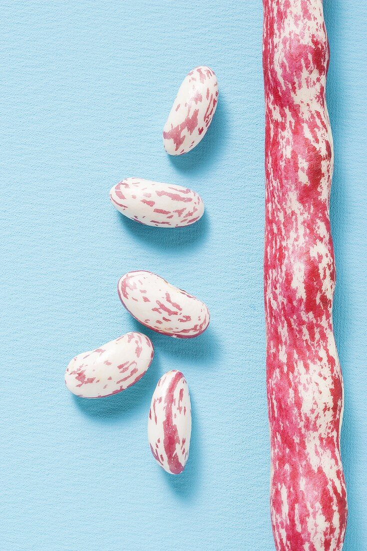 Borlotti beans, shelled and unshelled