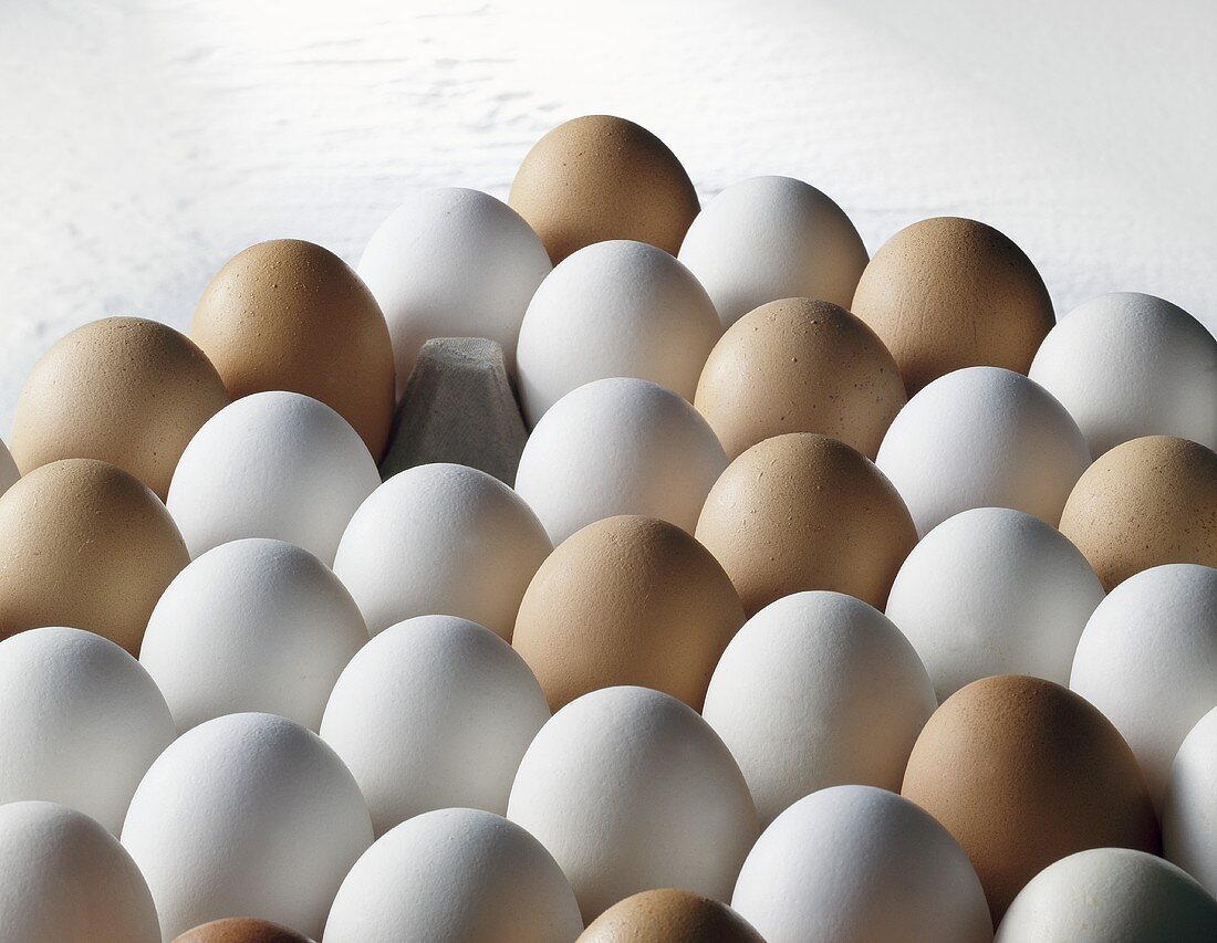 White and brown eggs in an egg tray