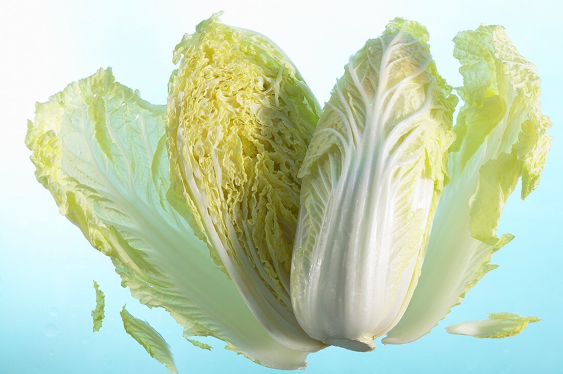 Chinese cabbage