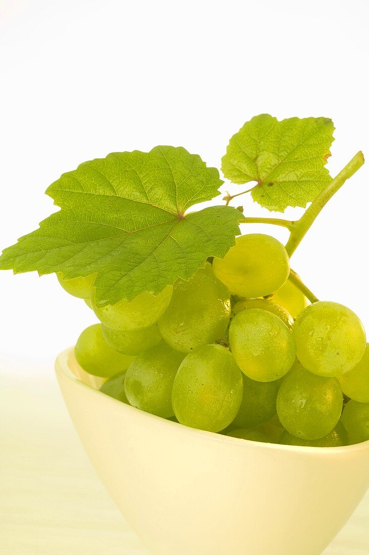 White grapes with leaf in white bowl