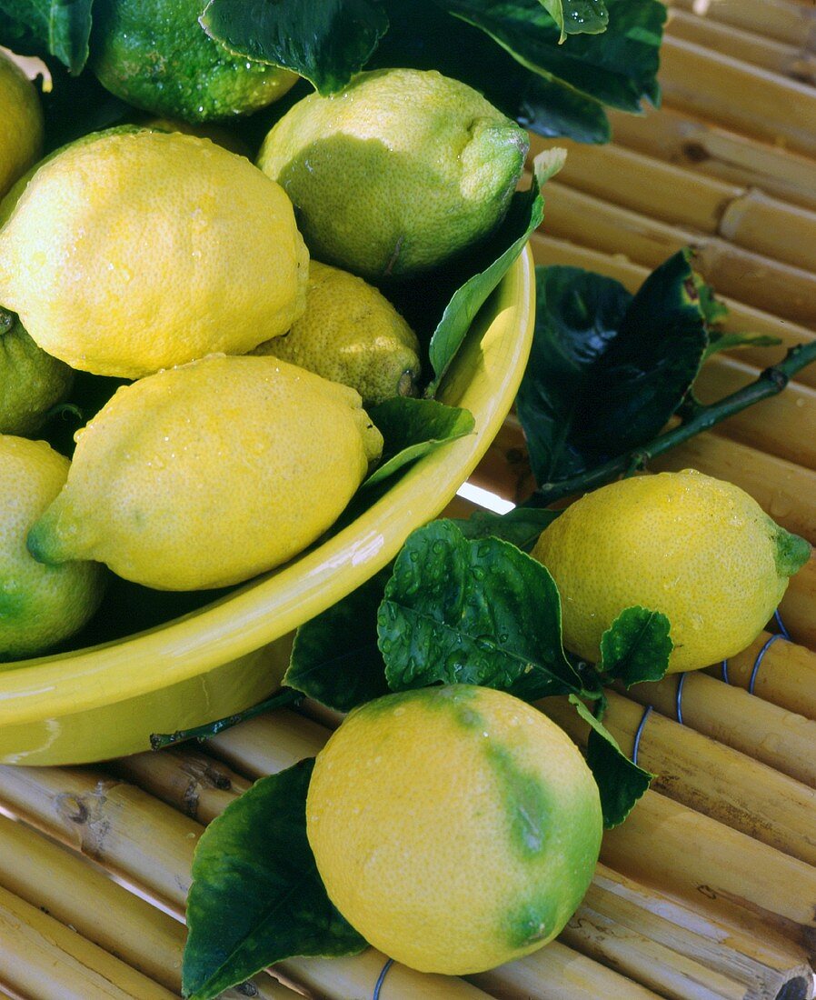 Lemons with leaves in a bowl