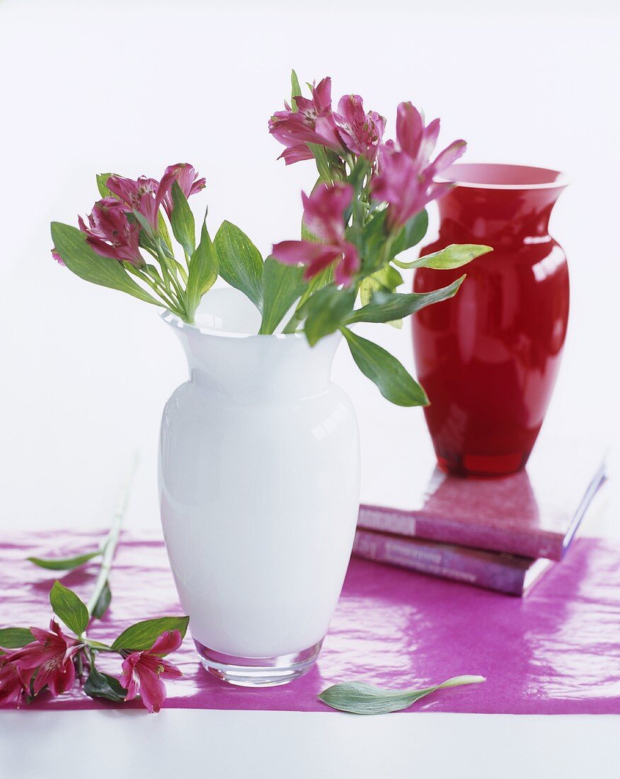 Inca lilies in white glass vase