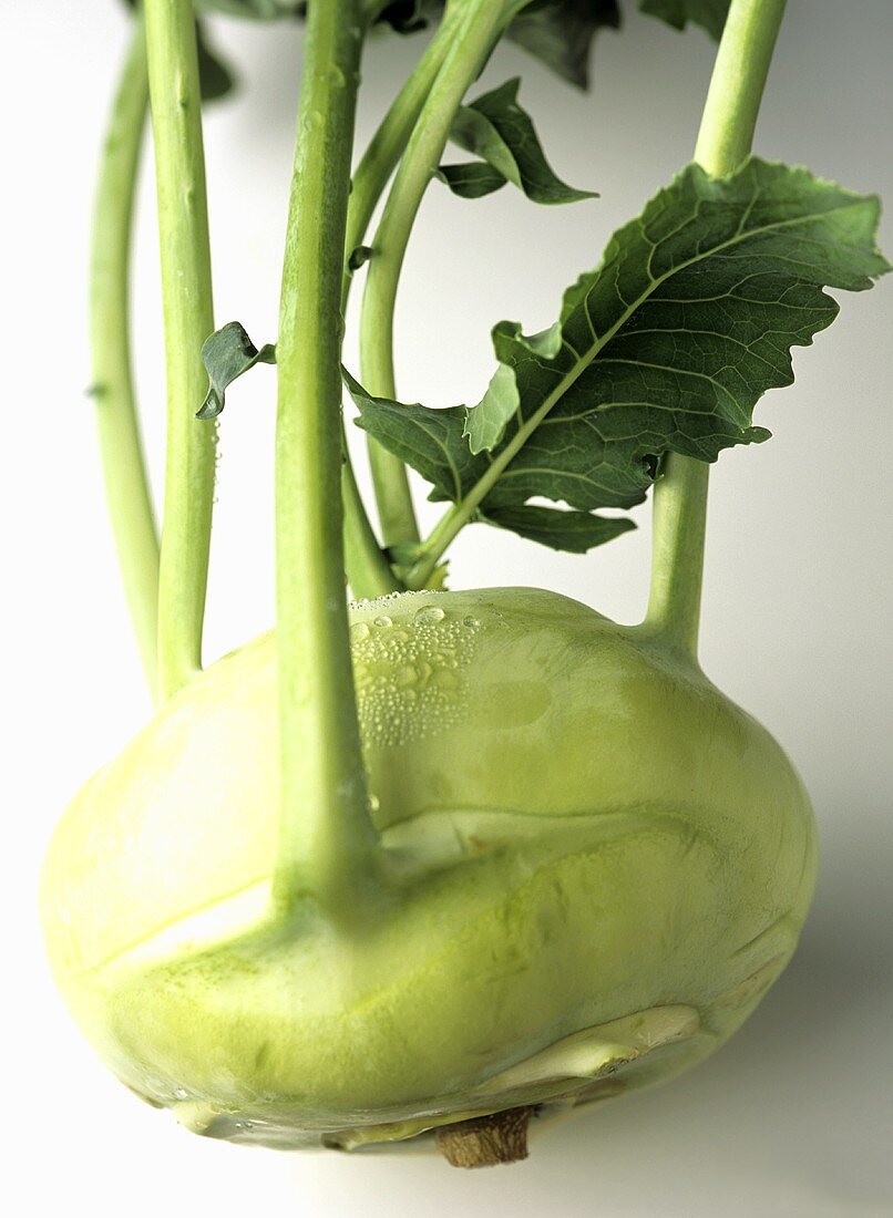 A kohlrabi