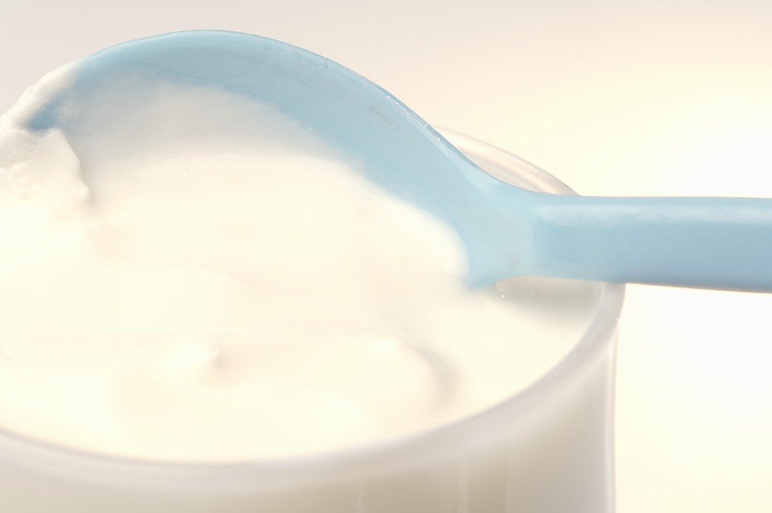 Yoghurt in glass and spoon (detail)