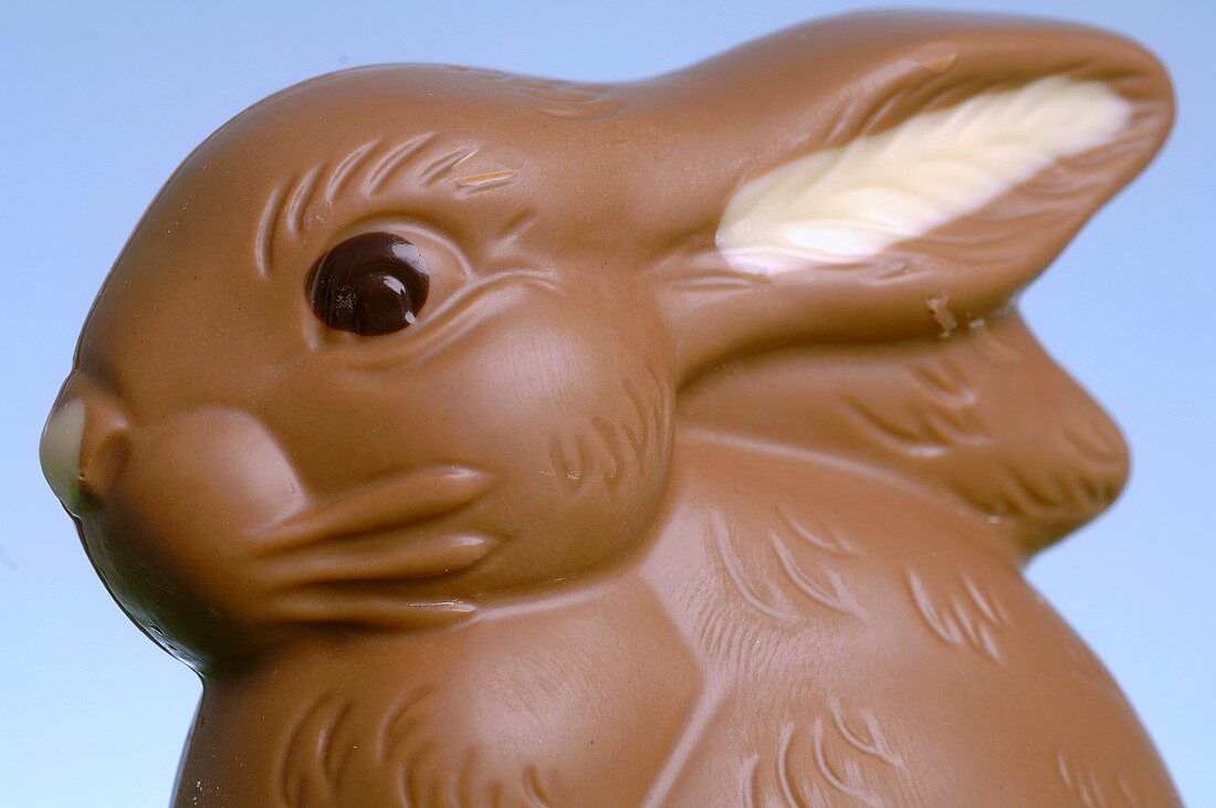 Schokoladenosterhase (Close Up)