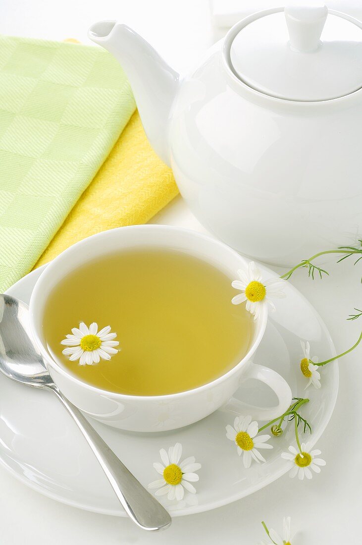 Chamomile tea with fresh flowers