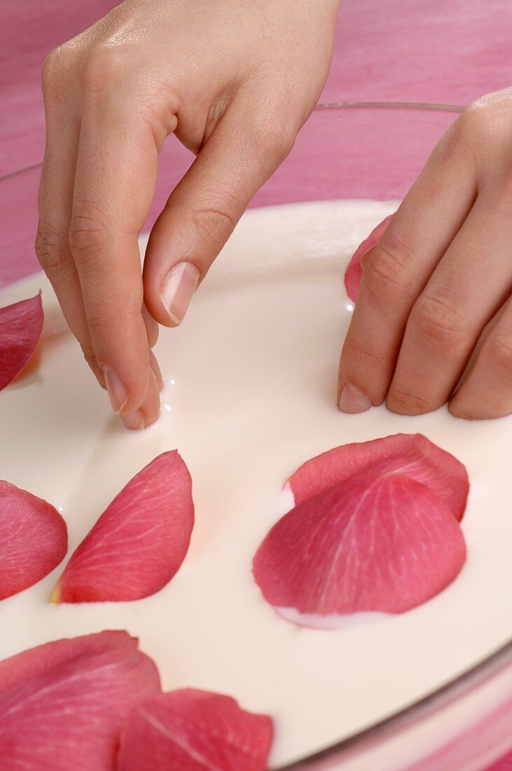 Hand spa with rose petals