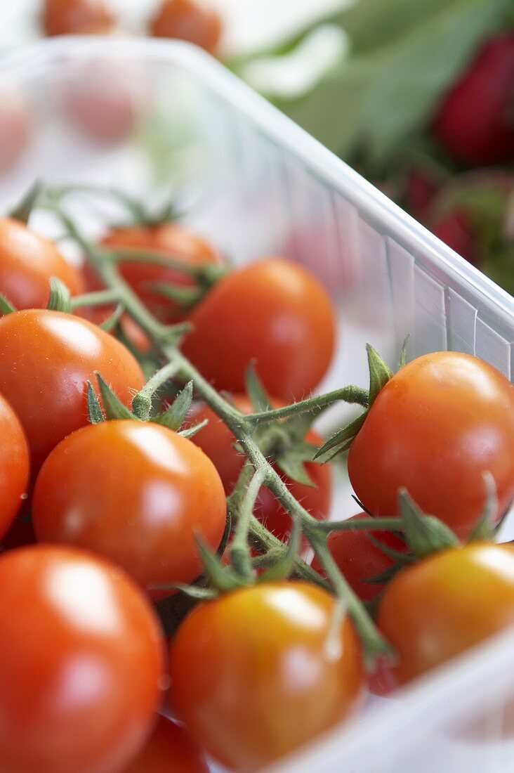 Frische Tomaten in Plastikschale